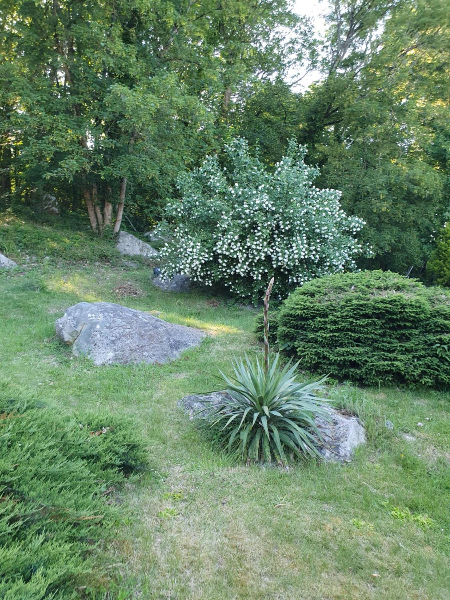 Le Jardin Des Roches Acomodação com café da manhã Moigny Exterior foto